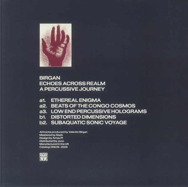 Birgan - Echoes Across Realm A Percussive Journey | Danza Nativa (DN018) - 2 Birgan - Echoes Across Realm A Percussive Journey | Danza Nativa (DN018) - 2