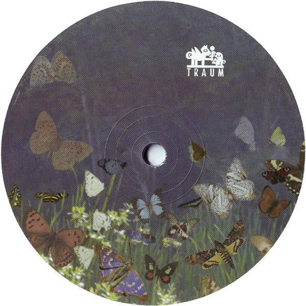 Dominik Eulberg - Eine Kleine Schmetterlings-Hommage | Traum Schallplatten (TRAUM V67) - 2 Dominik Eulberg - Eine Kleine Schmetterlings-Hommage | Traum Schallplatten (TRAUM V67) - 2