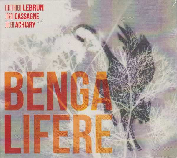 Matthieu Lebrun , Jordi Cassagne , Julen Achiary - Bengalifère | Hôte Marge (HÔTE MARGE 11)