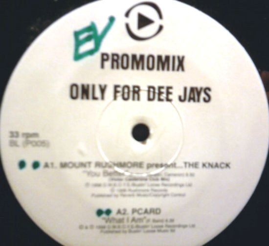 Various - Promo Mix - Only For Dee Jays | Bustin' Loose (BL (P005))
