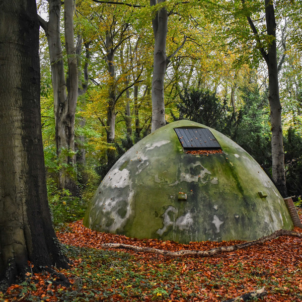 In Transit - In Transit | FELT (FELT011) - main