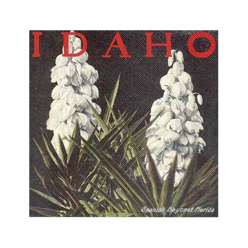 Idaho - the Bayonet ep | Fingerpaint Records (FP007) - main