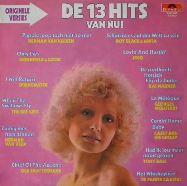 Various - De 13 Hits Van Nu! | Polydor (2482 063)
