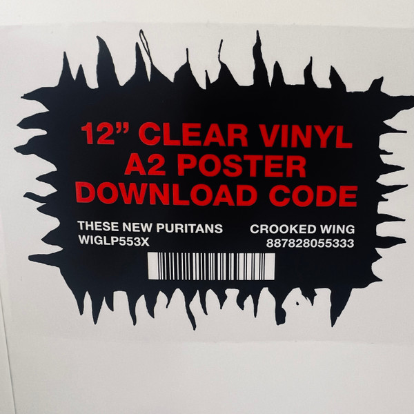 These New Puritans - Crooked Wing | Domino (WIGLP553X) - 3