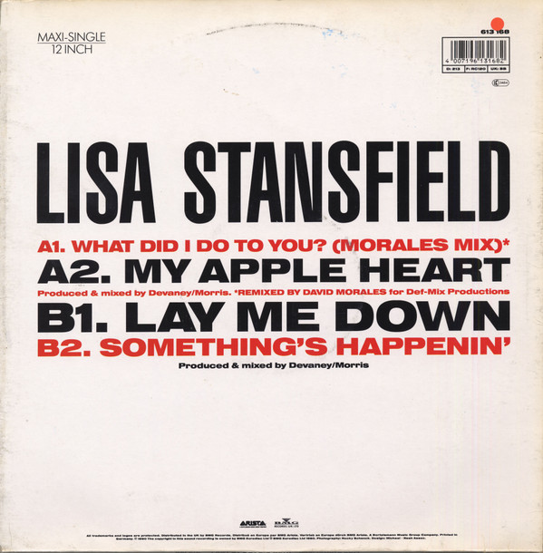 Lisa Stansfield - What Did I Do To You? | Arista (613 168) - main