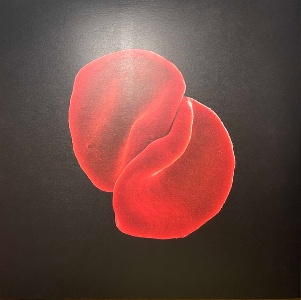 Peter Gabriel - Scratch My Back / And I'll Scratch Yours | Music On Vinyl (MOVLP952) - 3 Peter Gabriel - Scratch My Back / And I'll Scratch Yours | Music On Vinyl (MOVLP952) - 3