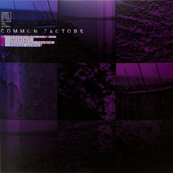 Common Factors - Perversions Of Loss | Life Scripts (LS 002)
