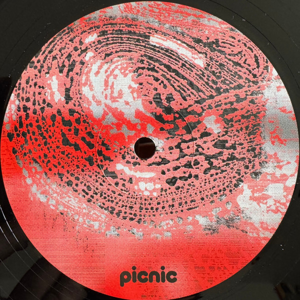 Shkedul - PICNIC010 | Picnic Records (PICNIC010) - 2