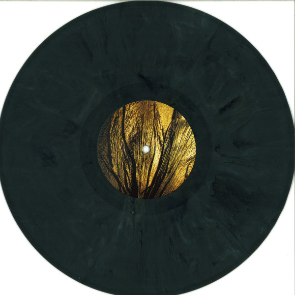 Re Us & Toby Holguin - Dead Flowers EP | Basswalk Records (BWCD100) - 2 Re Us & Toby Holguin - Dead Flowers EP | Basswalk Records (BWCD100) - 2