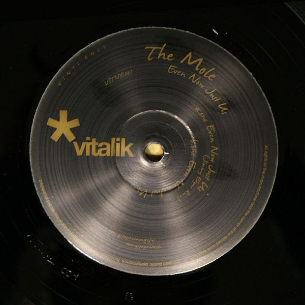 The Mole - Even Now Just Us | Vitalik (VITNYL001) - main