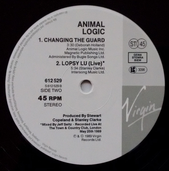 Animal Logic - Someday We'll Understand | Virgin (612 529) - 4