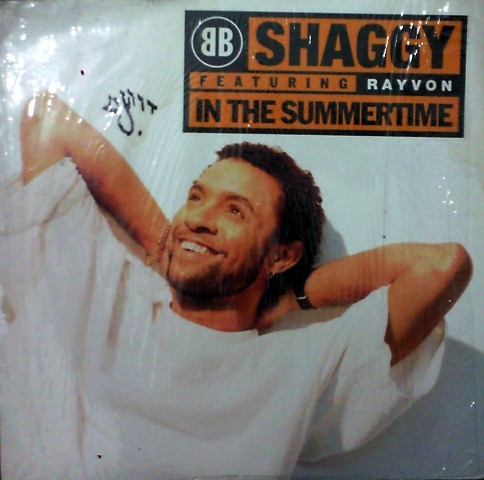 Shaggy Featuring Rayvon - In The Summertime | Virgin (7243 8 38496 1 1)