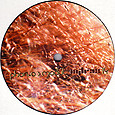 Phon.o - Modul | Cytrax (Cytrax 14)