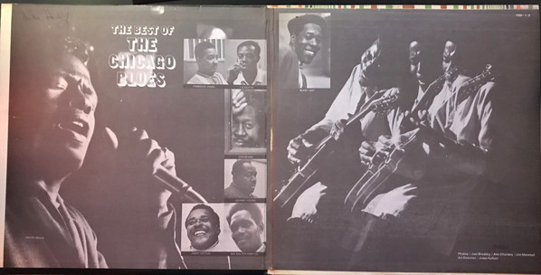 Various - The Best Of The Chicago Blues | Vanguard (VSD 1/2) - 2