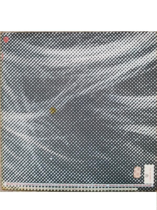 Rod Stewart - Camouflage | Warner Bros. Records (759 92-5095-1) - 2