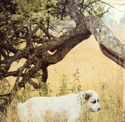 Yves Duteil - Yves Duteil | Pathé (2C 070-14836) - 3