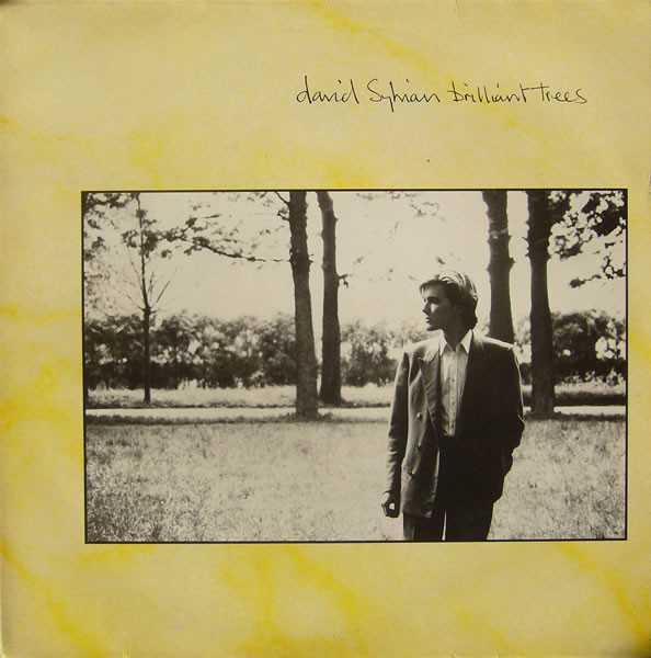 David Sylvian - Brilliant Trees | Virgin (V 2290)