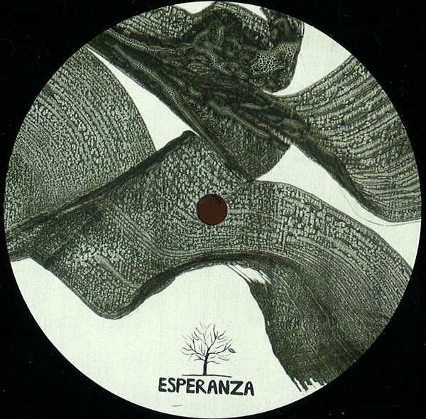 Damián Schwartz / Jonas Kopp - Hidden House / Tool Dub Red | Esperanza (ESPERANZA 029) - 2 Damián Schwartz / Jonas Kopp - Hidden House / Tool Dub Red | Esperanza (ESPERANZA 029) - 2
