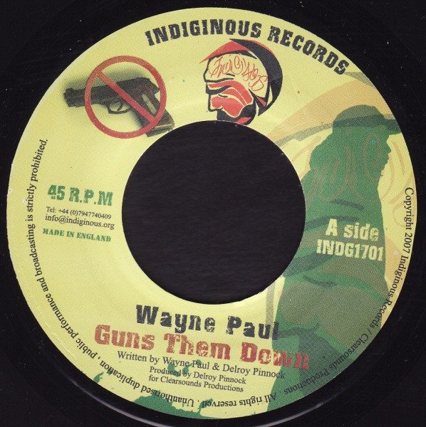Wayne Paul - Guns Them Down | Indignous Records (INDG1701)