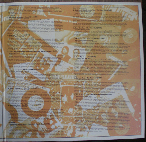 Various - Nuggets: Original Artyfacts From The First Psychedelic Era 1965-1968 | Elektra (R1-2006) - 4
