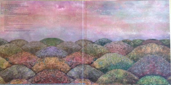 J Mascis - Several Shades Of Why | Sub Pop (SP 859) - 2 J Mascis - Several Shades Of Why | Sub Pop (SP 859) - 2