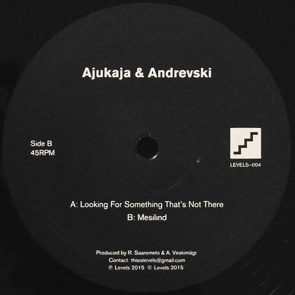 Ajukaja & Andrevski - Looking For Something That's Not There | Levels (LEVELS-004) - main