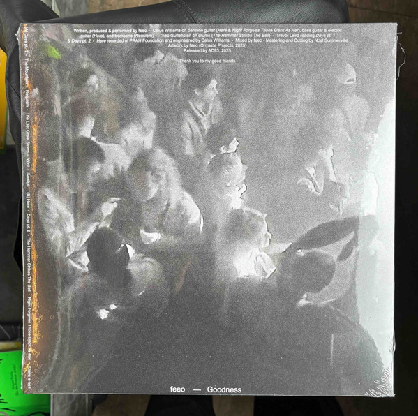 feeo - Goodness | AD 93 (WHYT101) - 3