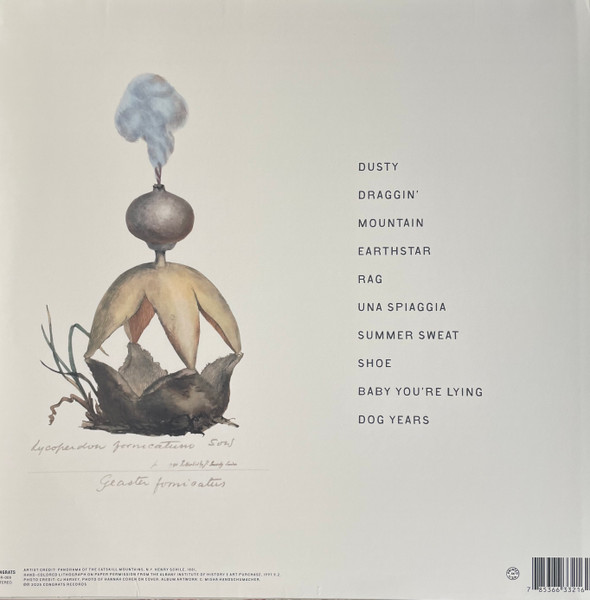 Hannah Cohen - Earthstar Mountain | Congrats Records (CR009) - 2 Hannah Cohen - Earthstar Mountain | Congrats Records (CR009) - 2