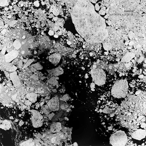 Guavid - Wathorn Wieib EP | Analogical Force (AF009)