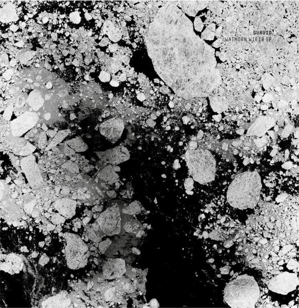 Guavid - Wathorn Wieib EP | Analogical Force (AF009) - 4