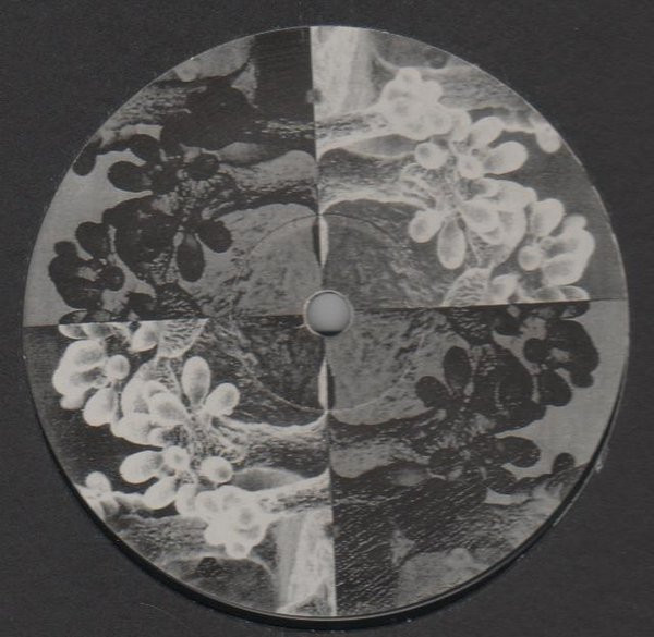 Harry Monk - Volume One | Alien Disco (AD 3301) - 2