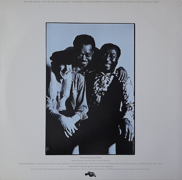 Muddy Waters - Hard Again | Blue Sky (PZ 34449) - 2 Muddy Waters - Hard Again | Blue Sky (PZ 34449) - 2