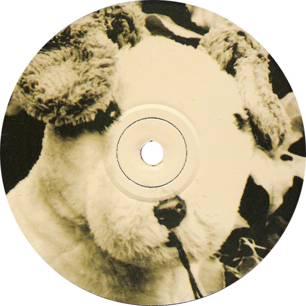 Belle & Sebastian - Dog On Wheels | Jeepster Recordings (JPR12001) - 3 Belle & Sebastian - Dog On Wheels | Jeepster Recordings (JPR12001) - 3