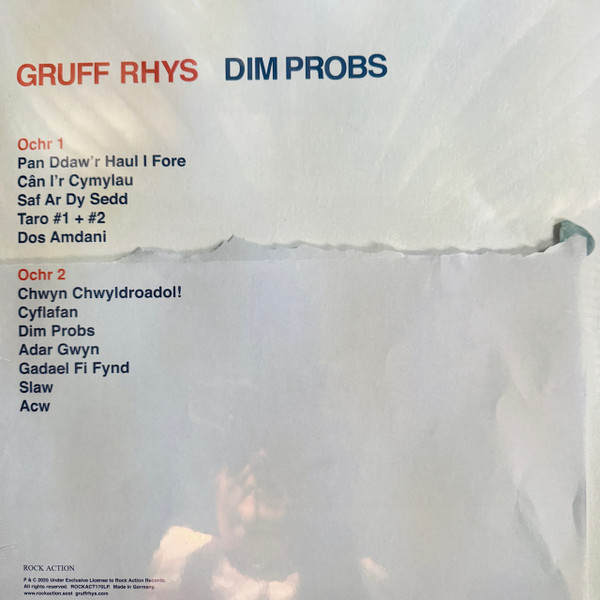 Gruff Rhys - Dim Probs LP - BLACK VINYL | Rock Action Records (ROCKACT170LP) - 2