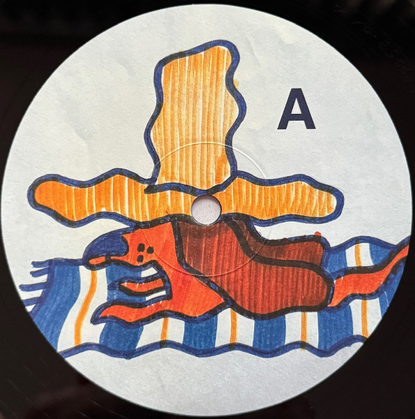 Gruff Rhys - Dim Probs LP - BLACK VINYL | Rock Action Records (ROCKACT170LP) - 3