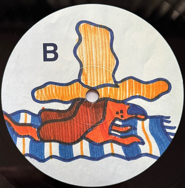 Gruff Rhys - Dim Probs LP - BLACK VINYL | Rock Action Records (ROCKACT170LP) - 4