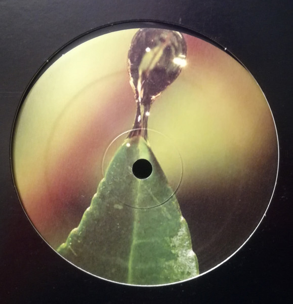 Omar-S - Psychotic Photosynthesis | FXHE Records (AOS-432-D) - 2