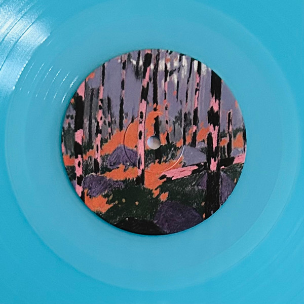 Will Stratton - The Changing Wilderness | Bella Union (BELLA1149V) - 4 Will Stratton - The Changing Wilderness | Bella Union (BELLA1149V) - 4