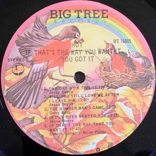 Hot - If That's The Way You Want It...You Got It | Big Tree Records (BT 76005) - 3