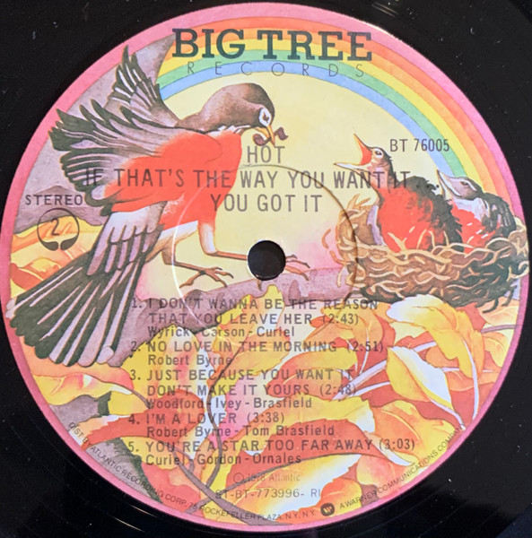Hot - If That's The Way You Want It...You Got It | Big Tree Records (BT 76005) - 4