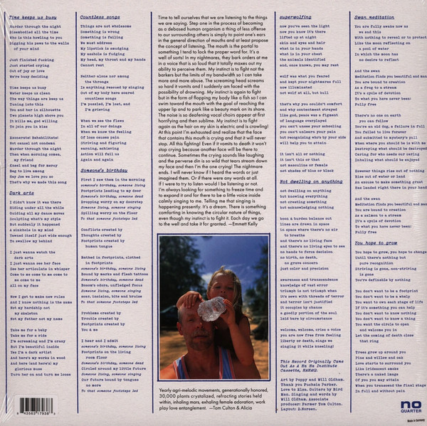 Bonnie "Prince" Billy - High And High And Mighty | No Quarter (NOQ091-1) - 2