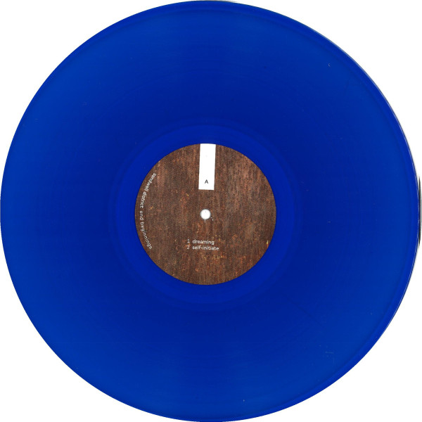 Sandwell District - End Beginnings | The Point Of Departure Recording Company (PODR012LP) - 2
