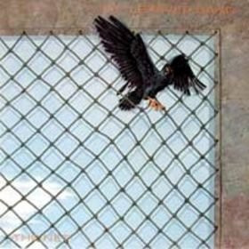Little River Band - The Net | Capitol Records (11C 080 - 400176)