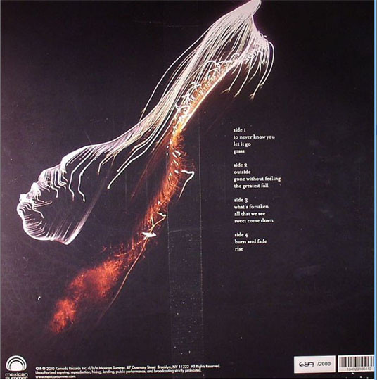 The Black Ryder - Buy The Ticket, Take The Ride | Mexican Summer (MEX044) - 2 The Black Ryder - Buy The Ticket, Take The Ride | Mexican Summer (MEX044) - 2