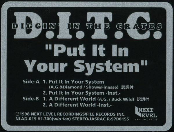 D.I.T.C. - Put It In Your System | Next Level Recordings (NLAD-019) - 2 D.I.T.C. - Put It In Your System | Next Level Recordings (NLAD-019) - 2