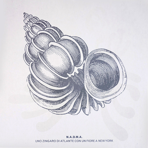 N.A.D.M.A. - Uno Zingaro Di Atlante Con Un Fiore A New York | RCA Italiana (DPSL 10579) - main