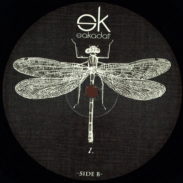 Stan Yaroslavsky - Not So Cold | Sakadasme (SKDM 001)