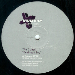 The 3 Jays - Feeling It Too | Multiply Records (12MULTY53P) - main