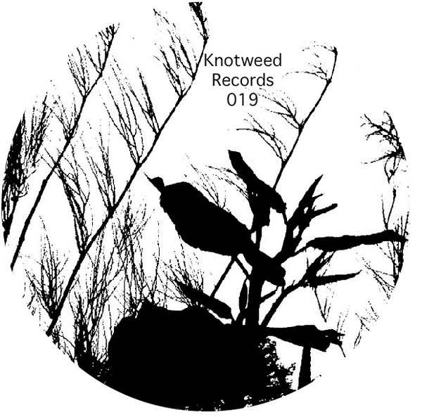 Various - Tales from the Dark Side E.P. | Knotweed Records (Knotweed Records 019) - main Various - Tales from the Dark Side E.P. | Knotweed Records (Knotweed Records 019) - main