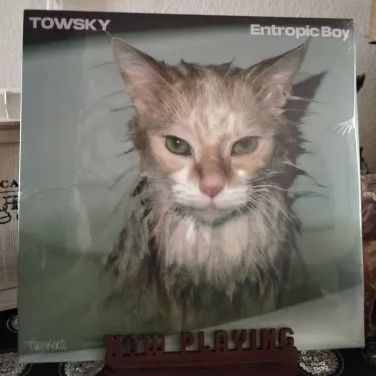 Towsky - Entropic Boy | Not On Label (Towsky Self-released) (TWSK002) - 2 Towsky - Entropic Boy | Not On Label (Towsky Self-released) (TWSK002) - 2